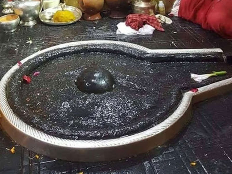 Vaidyanath Dham Shivling