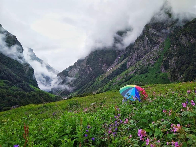 Valley of Flowers