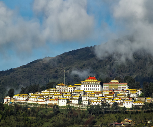 North East Travel Packages