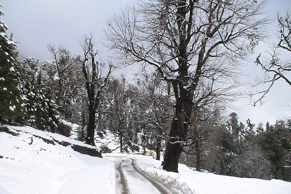 Munsiyari Snowfall