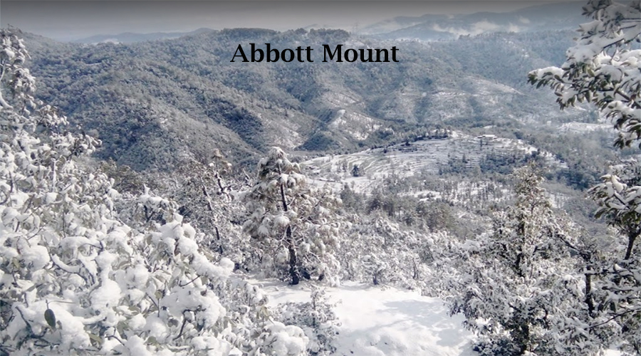 Places to visit in Abbott Mount