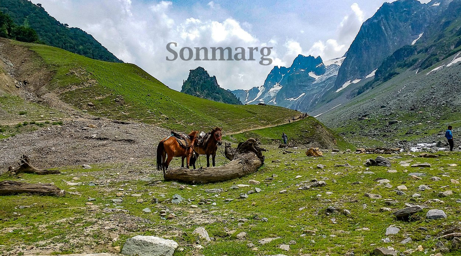 Places to Visit in Sonmarg