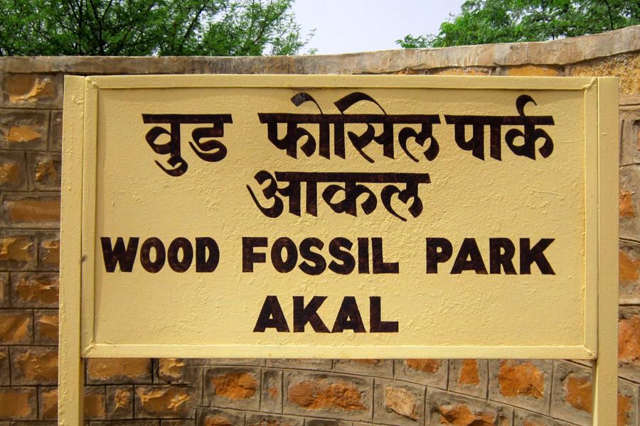 Akal Wood Fossil Park