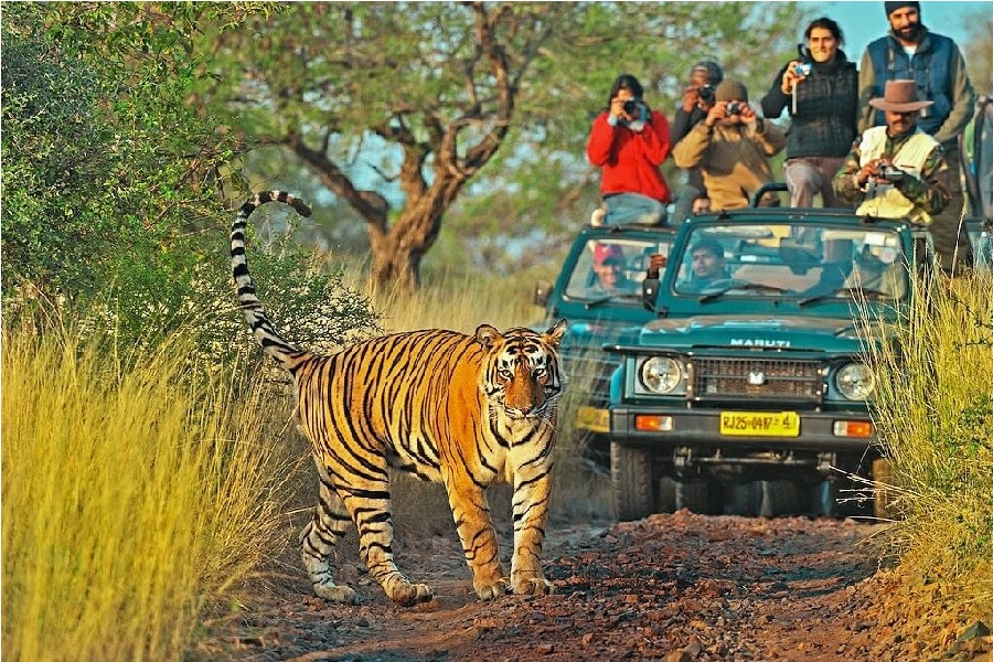 Places to Visit in Ranthambore