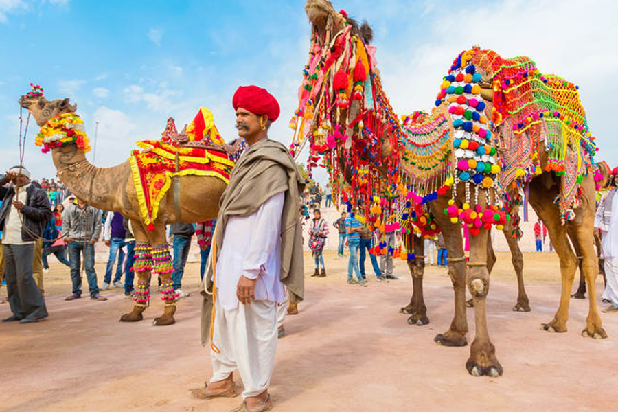 Bikaner Camel Festival