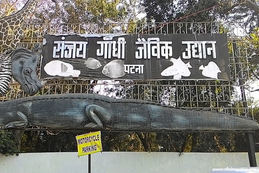 Patna Zoo/ Sanjay Gandhi Jaivik Udyan