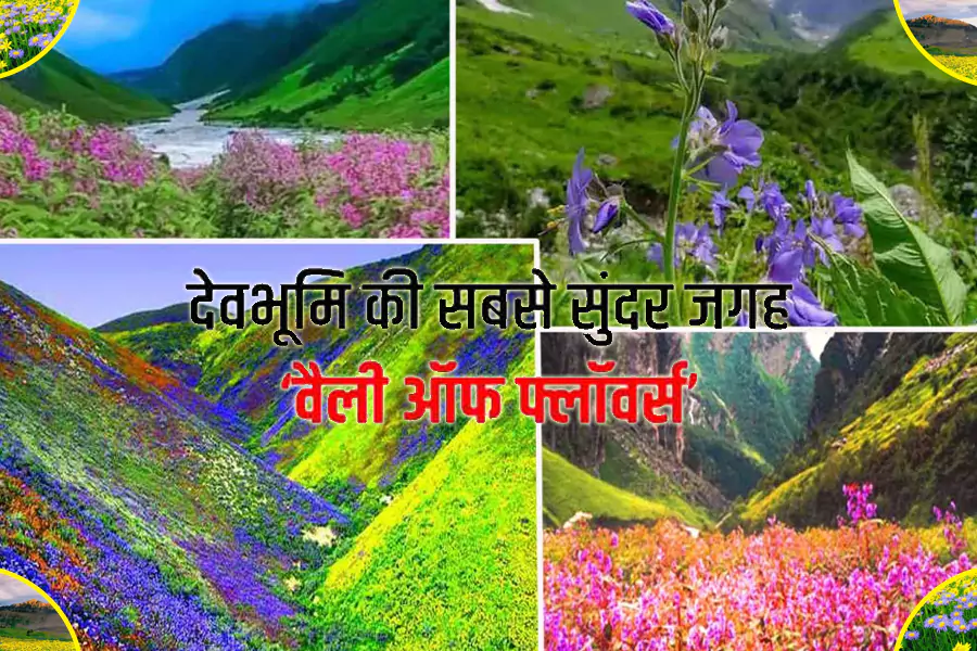 उत्तराखंड का मशहूर ‘वैली ऑफ फ्लावर’ कब और कैसे जाएं?