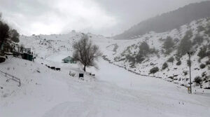 Uttarakhand Fresh Snow Fall