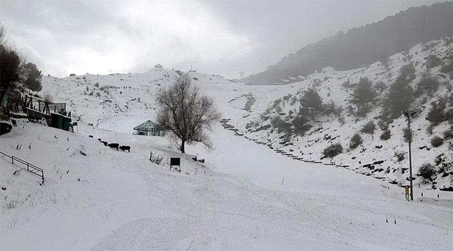 Uttarakhand Fresh Snow Fall