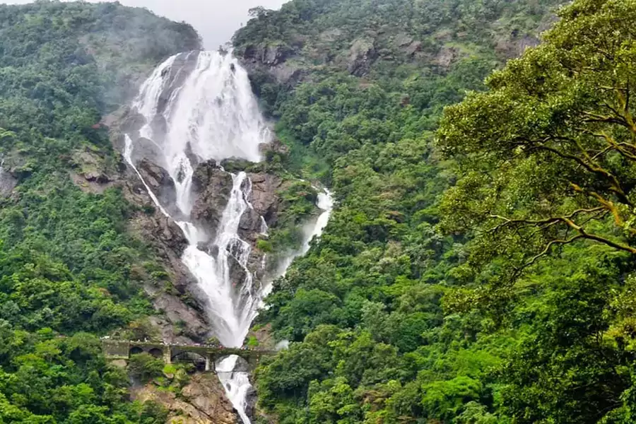 Dudhsagar Falls in Goa
