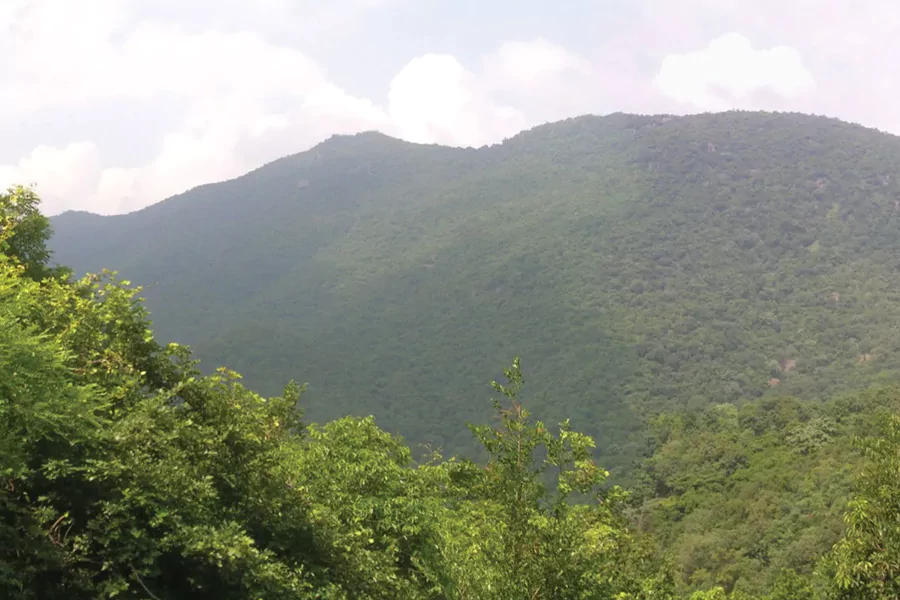 Javadi Hills