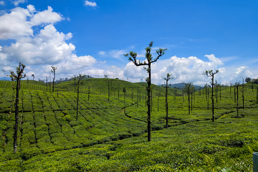 Valparai
