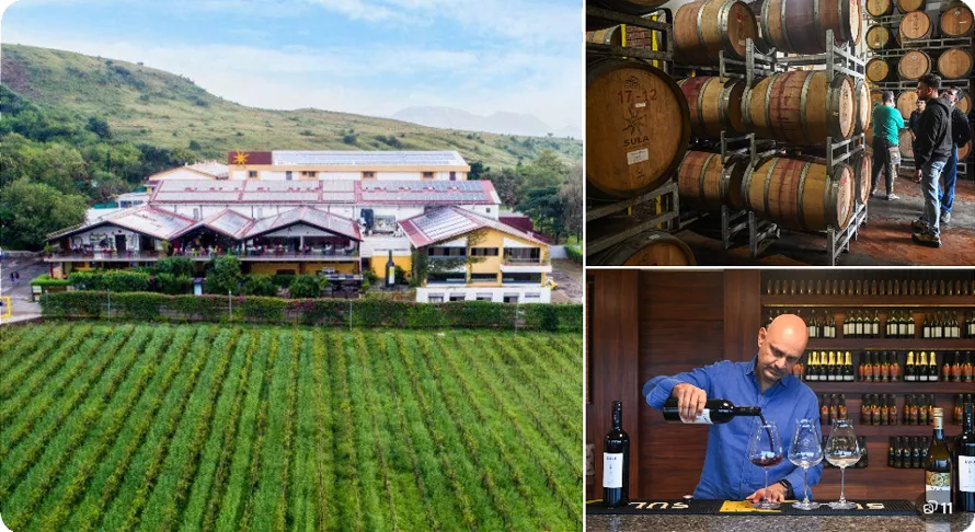 Sula Vineyards